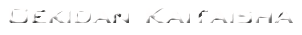 kai_logo_en.png